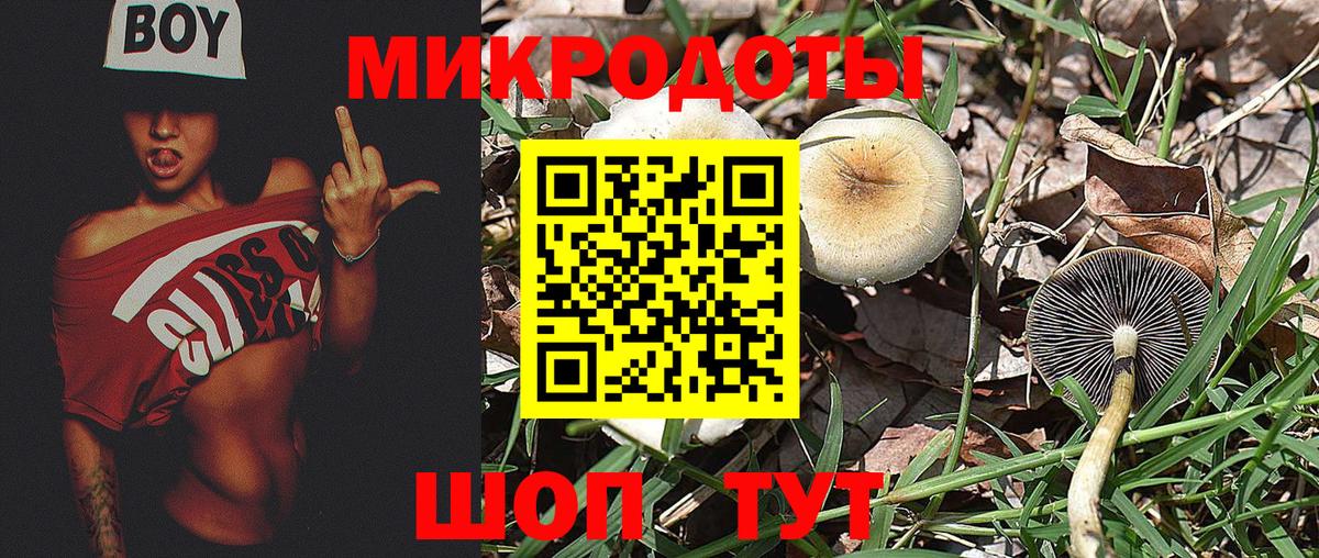Жигулёвск  Галлюциногенные грибы ЛСД  Вход с VPN 